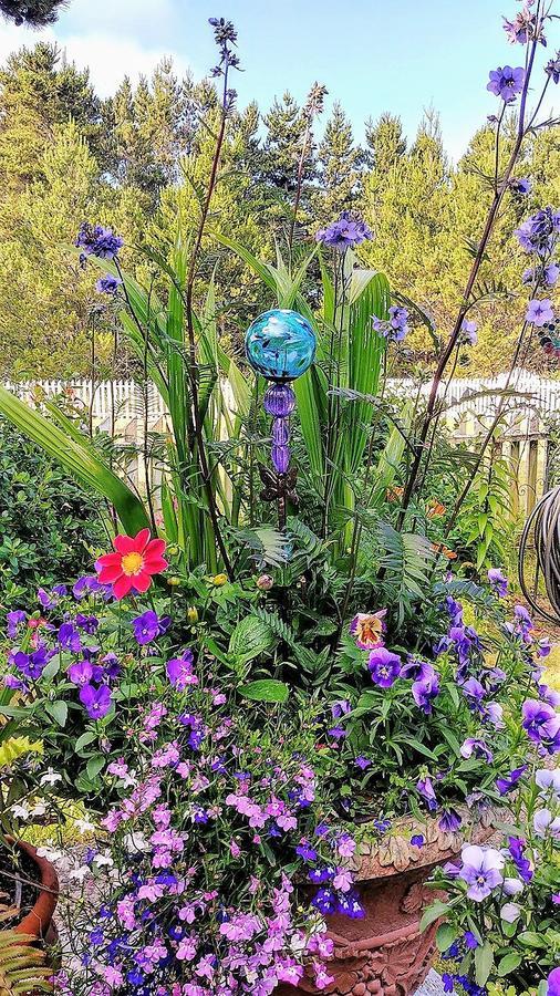 Boreas Bed & Breakfast Inn Long Beach Luaran gambar